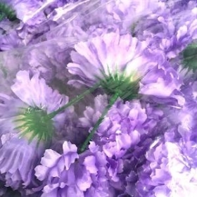 Lilac Carnation Heads x 144