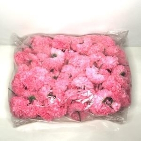 Pink Carnation Heads x 144