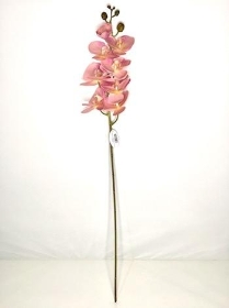 Mauve Phalaenopsis Orchid 98cm