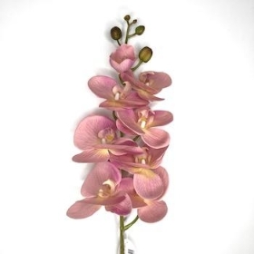 Mauve Phalaenopsis Orchid 98cm