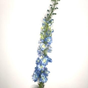 Light Blue Delphinium 125cm