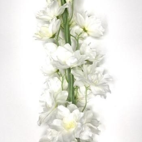 White Delphinium 125cm