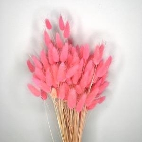 Dried Baby Pink Bunny Tails 100g