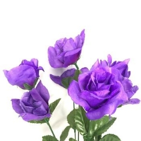 Purple Carnival Rose Bush 35cm