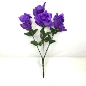 Purple Carnival Rose Bush 35cm