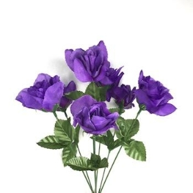 Purple Carnival Rose Bush 35cm