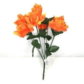 Orange Carnival Rose Bush 35cm
