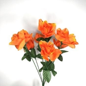 Orange Carnival Rose Bush 35cm