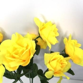 Yellow Carnival Rose Bush 35cm