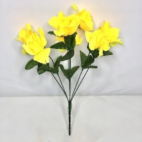 Yellow Carnival Rose Bush 35cm