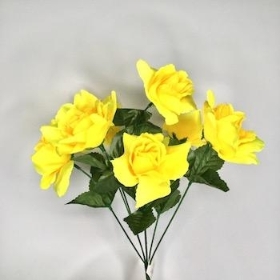 Yellow Carnival Rose Bush 35cm