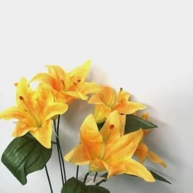 Yellow Lily Bush 36cm