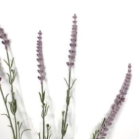 Purple Lavender Spray 71cm