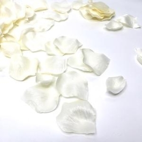 Cream Rose Petals x 1000