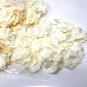 Cream Rose Petals x 1000