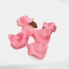 Baby Pink Rose Petals x 150