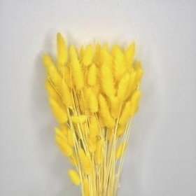 Dried Yellow Bunny Tails 100g