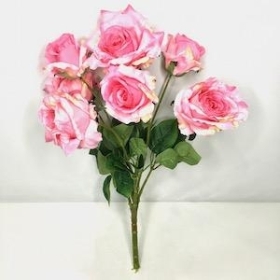 Pink Open Rose Bush 51cm
