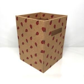Ladybird Flower Box x 10