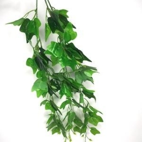 Green Trailing Ivy 65cm 