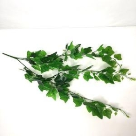 Green Trailing Ivy 65cm 
