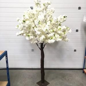 Ivory Luxury Blossom Tree 200cm