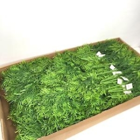 108 x Green Fern Bush 34cm