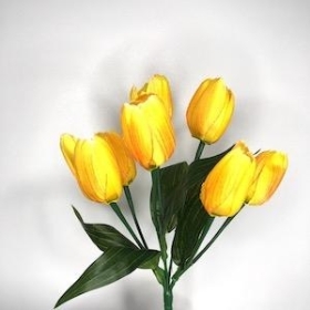 Yellow Tulip Bush 31cm