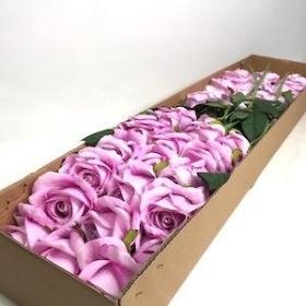 36 x Lilac Velvet Touch Open Rose 52cm