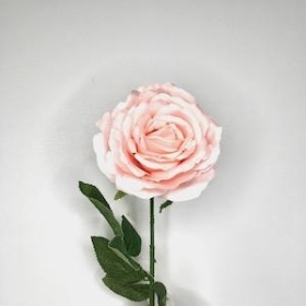 Peach Rose 63cm