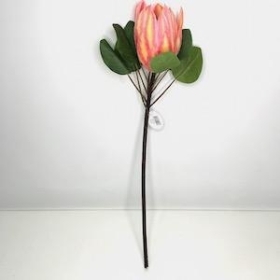 Pink Protea 66cm