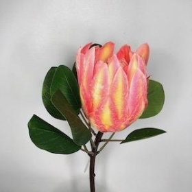 Pink Protea 66cm