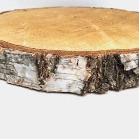 Birch Wood Slice 35cm