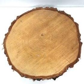 Birch Wood Slice 35cm
