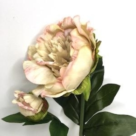 Vintage Pink Peony 51cm