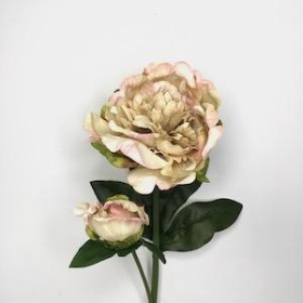 Vintage Pink Peony 51cm