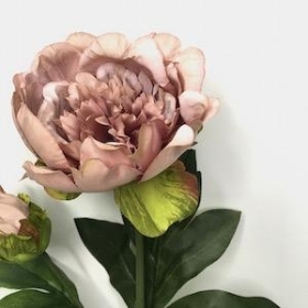 Vintage Purple Peony 51cm