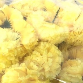 Yellow Carnation Heads x 144