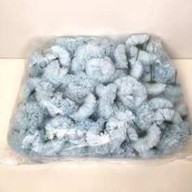 Baby Blue Carnation Heads x 144