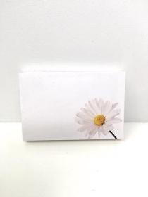 Small Florist Cards Daisy