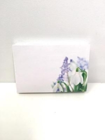 Small Florist Cards Snowdrops