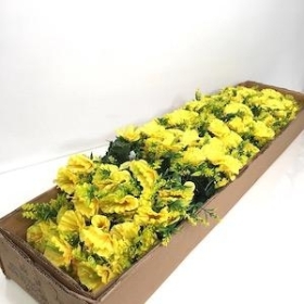 36 x Mini Daffodil Bush 32cm