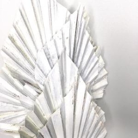 Dried White Wash Palm Spear 50cm x 10