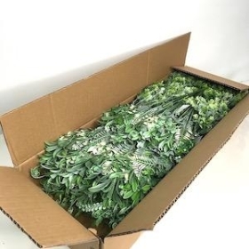 48 x Assorted Green Grey Foliage Bush 33cm