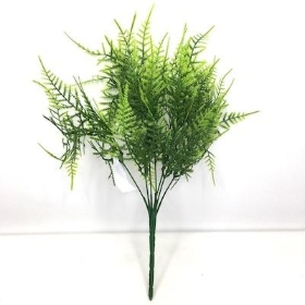 48 x Asparagus Fern Bush 30cm