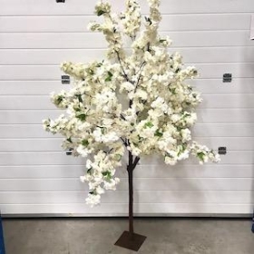 Ivory Luxury Blossom Tree 180cm