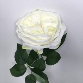 White Garden Rose 53cm