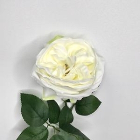 White Garden Rose 53cm
