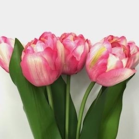 Pink Tulip Bundle 40cm