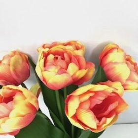 Peach Tulip Bundle 40cm